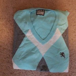 Express v neck sweater